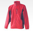 Garment